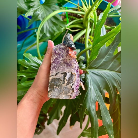 Tucan Carvings on Amethyst - Picture 8 of 10